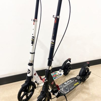 Personalized Disc Brake Semi-Iron Semi-Aluminum Scooter